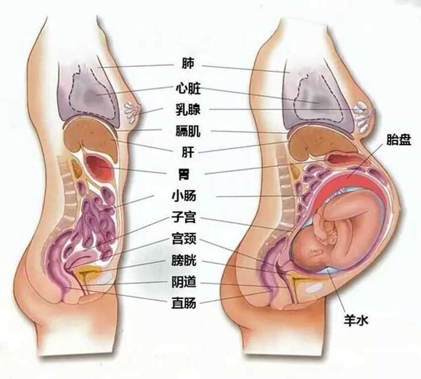金贝试管供卵中心好吗|2023年妇幼保健院生殖科可以申请供卵试管婴儿吗？