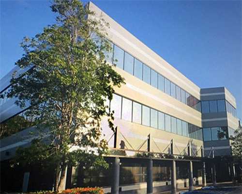 探索试管助孕：性别选择在辅助生殖中的可能与限制