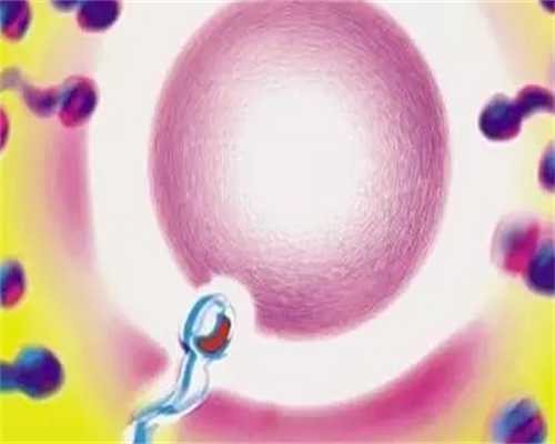 三代试管：能否有效预防胎停育？揭秘胚胎筛选技术对生育健康的影响