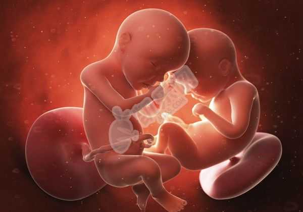 供卵选择卵妹是真的吗_多囊卵巢加上子宫畸形还能做试管婴儿吗